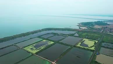 4k航拍南京溧水大型鱼塘水产养殖视频的预览图